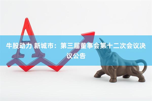 牛股动力 新城市：第三届董事会第十二次会议决议公告