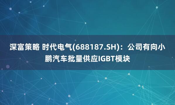 深富策略 时代电气(688187.SH)：公司有向小鹏汽车批量供应IGBT模块
