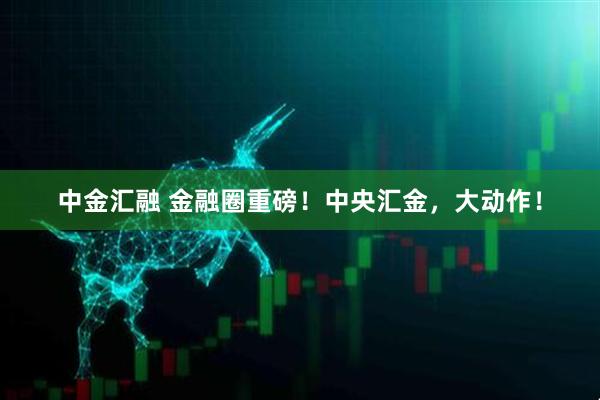 中金汇融 金融圈重磅！中央汇金，大动作！