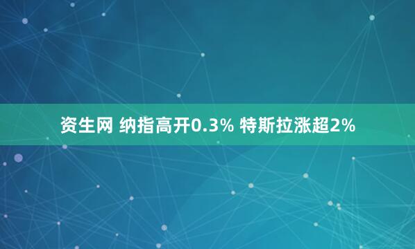 资生网 纳指高开0.3% 特斯拉涨超2%