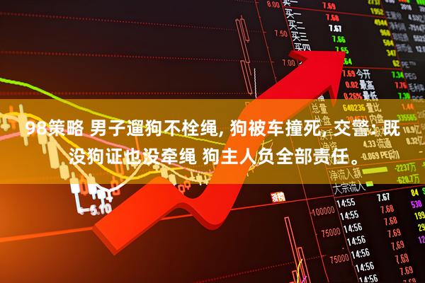 98策略 男子遛狗不栓绳, 狗被车撞死, 交警: 既没狗证也没牵绳 狗主人负全部责任。