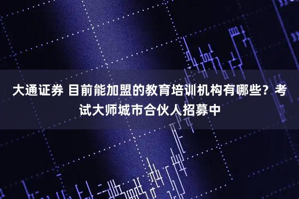 大通证券 目前能加盟的教育培训机构有哪些？考试大师城市合伙人招募中