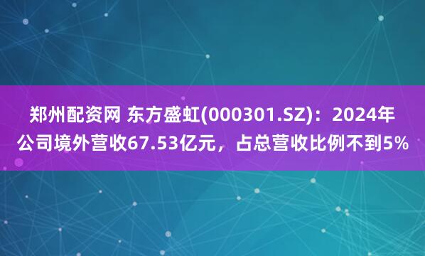 郑州配资网 东方盛虹(000301.SZ)：2024年公司境外营收67.53亿元，占总营收比例不到5%